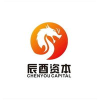 辰酉资产