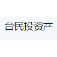台民投资产