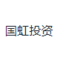 国虹投资