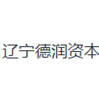 辽宁德润资本