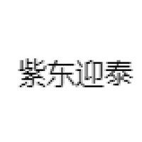 紫东迎泰
