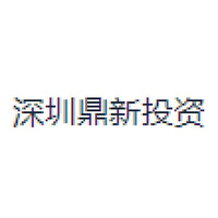 深圳鼎新投资