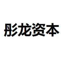 彤龙资本