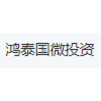 鸿泰国微投资