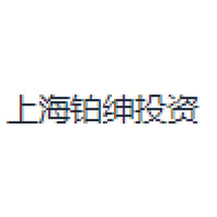 上海铂绅投资