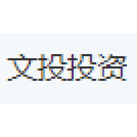 文投投资