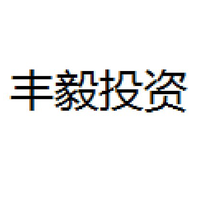 丰毅投资