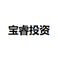 宝睿投资