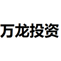 万龙投资