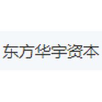 东方华宇资本