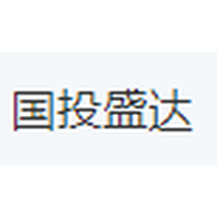 国投盛达