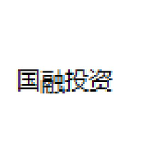 国融投资