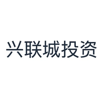 兴联城投资