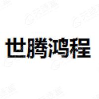 世腾鸿程_LOGO