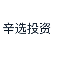 辛选投资