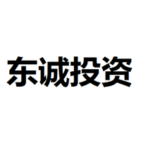 东诚投资