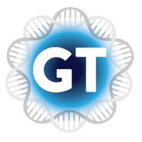 GT创投