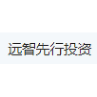 远智先行投资