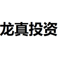 龙真投资