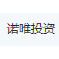 诺唯投资