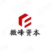 微峰资本_LOGO