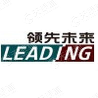 领先未来(北京)信息技术有限公司