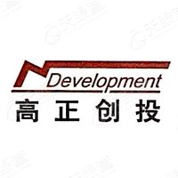 高正投资_LOGO