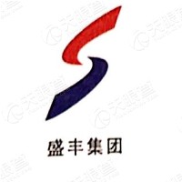 廣西盛豐建設(shè)集團有限公司