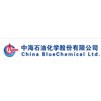 中海石油化学股份有限公司王维民 工商 风险信息 中海石油 天眼查