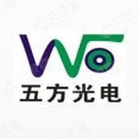 湖北五方光电股份有限公司