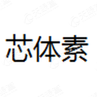 芯体素 Logo