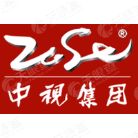 中视文化 Logo