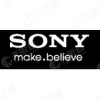 SAPABAPLeader(FICO）