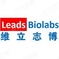 维立志博-B Logo