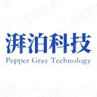 湃泊科技 Logo