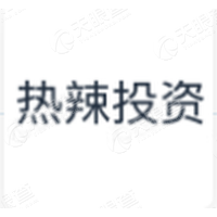 热辣投资_LOGO
