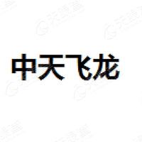 中天飞龙