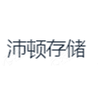 沛顿存储 Logo