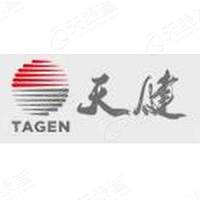 企业年报