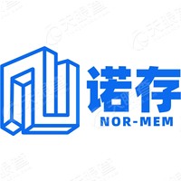 诺存 Logo
