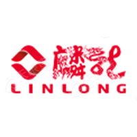 麟龙 LOGO
