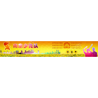 中国共产主义青年团南京市委员会