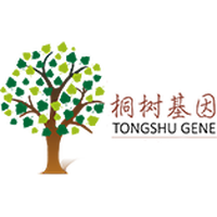 桐树基因