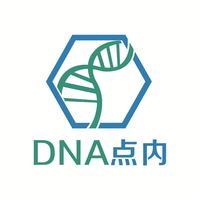 点内科技