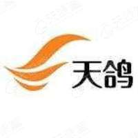 天鸽互动 LOGO