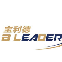宝利德控股