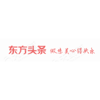 嵩恒网络_LOGO