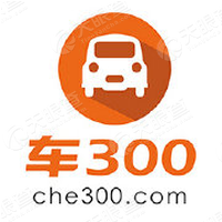 车300_LOGO