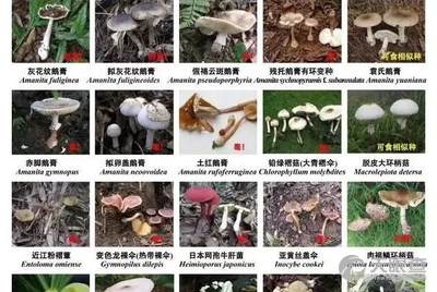 2ca90e8a7559cf1f087652fac88f5338e7ad305d_effdacb7368d2416f6ffd43095a6e83ec3c51adb.jpg@!w_400x268