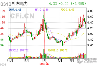 广西桂东电力股份有限公司